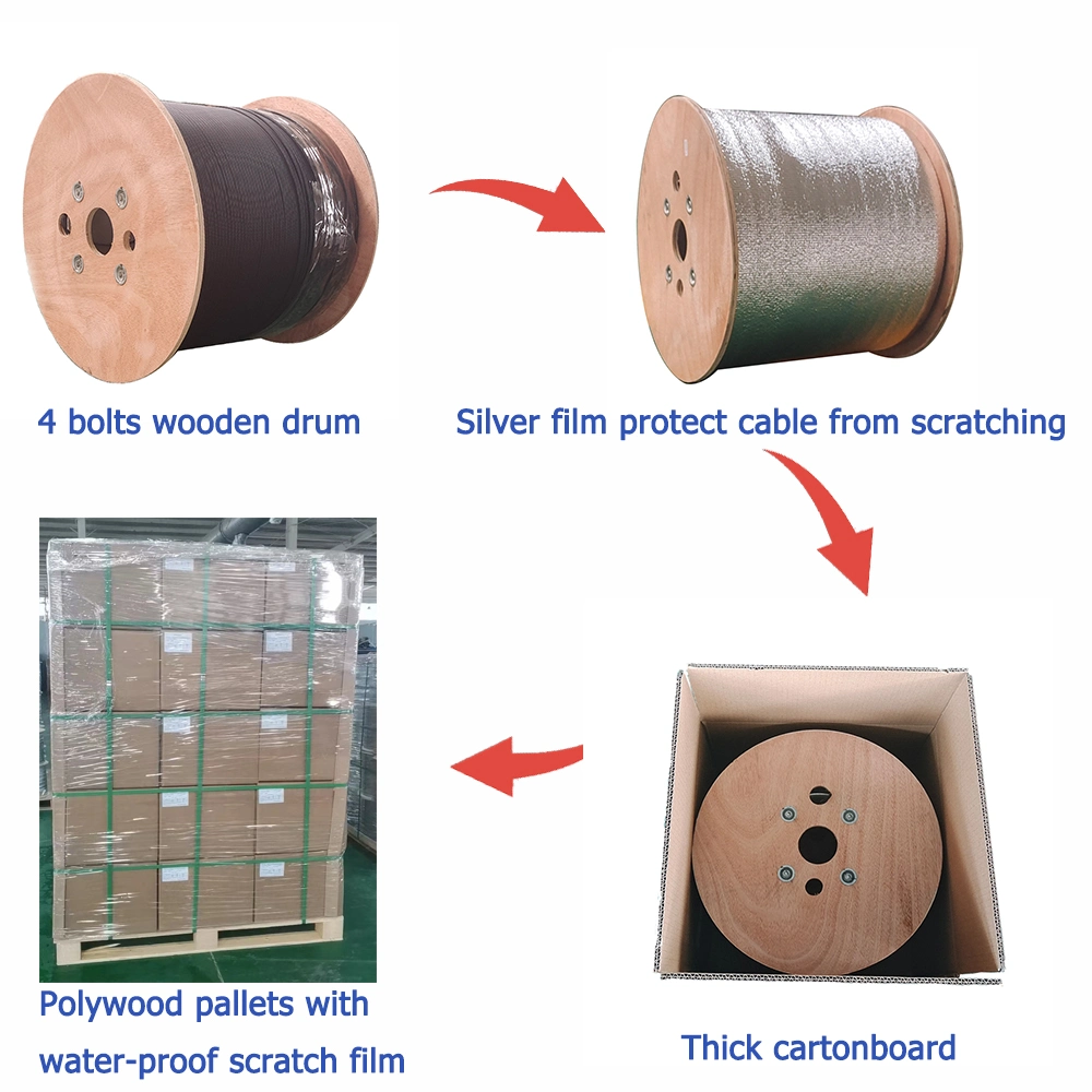 Indoor and Outdoor 12 Core Sc/APC Bundle Tail Fiber